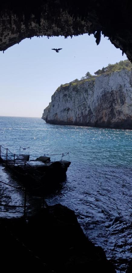 Affittasi Casa Vacanza A Casa Di Emma Leverano Bagian luar foto