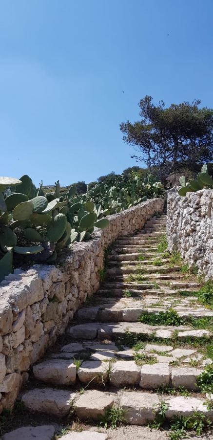 Affittasi Casa Vacanza A Casa Di Emma Leverano Bagian luar foto