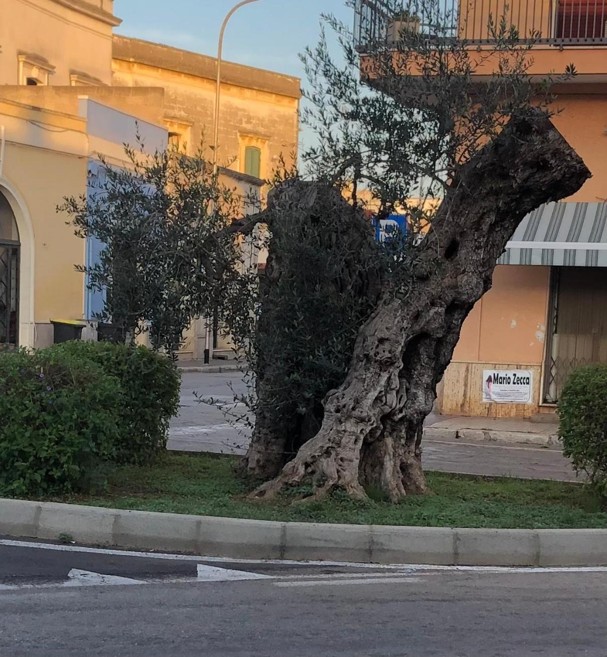 Affittasi Casa Vacanza A Casa Di Emma Leverano Bagian luar foto